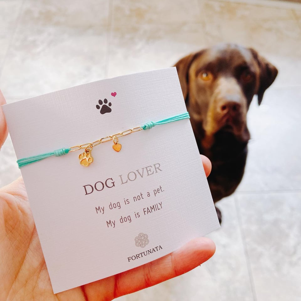 Pulsera Doglover con Eslabones